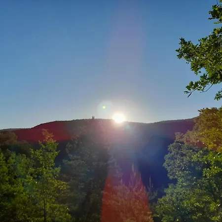 Insolite Au Coeur Des Cevennes Feriehus